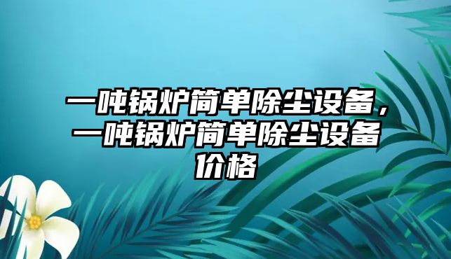 一噸鍋爐簡(jiǎn)單除塵設(shè)備，一噸鍋爐簡(jiǎn)單除塵設(shè)備價(jià)格