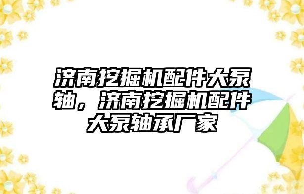 濟南挖掘機配件大泵軸，濟南挖掘機配件大泵軸承廠家