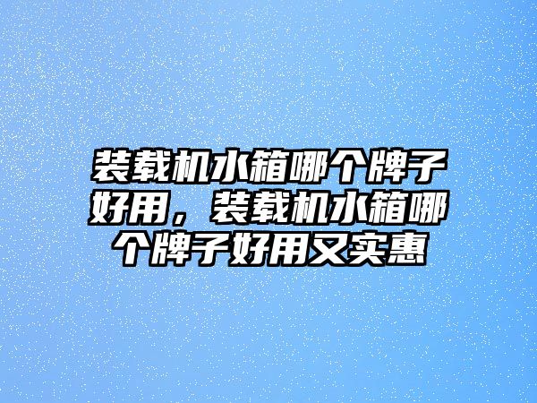 裝載機(jī)水箱哪個(gè)牌子好用，裝載機(jī)水箱哪個(gè)牌子好用又實(shí)惠