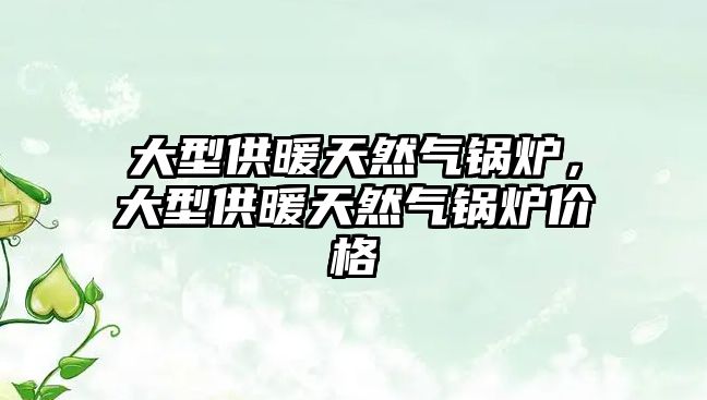 大型供暖天然氣鍋爐，大型供暖天然氣鍋爐價格