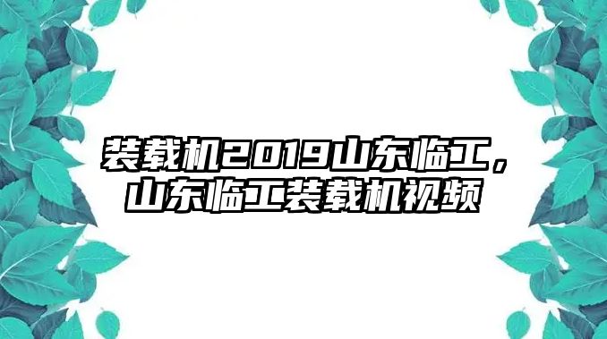 裝載機(jī)2019山東臨工，山東臨工裝載機(jī)視頻