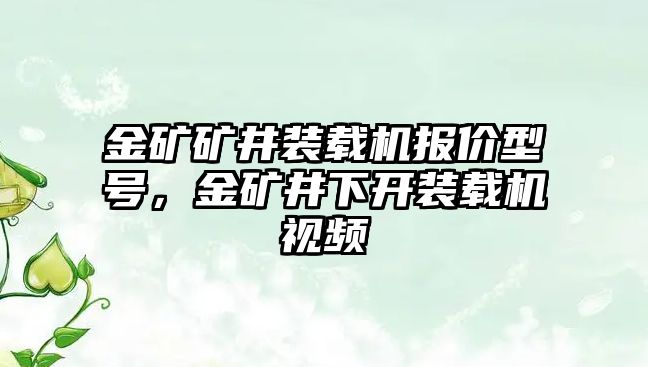 金礦礦井裝載機(jī)報(bào)價(jià)型號(hào)，金礦井下開裝載機(jī)視頻