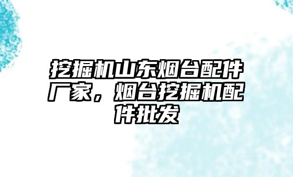 挖掘機山東煙臺配件廠家，煙臺挖掘機配件批發(fā)