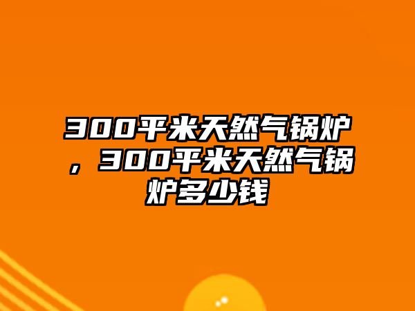 300平米天然氣鍋爐，300平米天然氣鍋爐多少錢