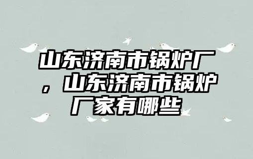 山東濟南市鍋爐廠，山東濟南市鍋爐廠家有哪些