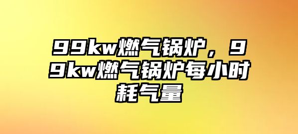 99kw燃氣鍋爐，99kw燃氣鍋爐每小時耗氣量