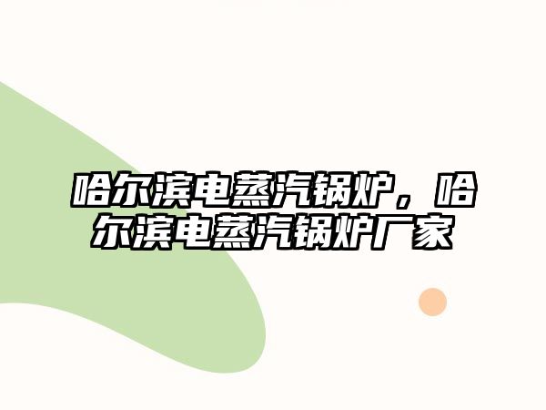 哈爾濱電蒸汽鍋爐，哈爾濱電蒸汽鍋爐廠家