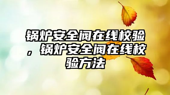 鍋爐安全閥在線校驗，鍋爐安全閥在線校驗方法