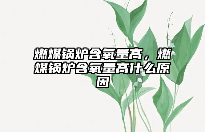 燃煤鍋爐含氧量高，燃煤鍋爐含氧量高什么原因