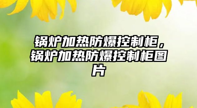 鍋爐加熱防爆控制柜，鍋爐加熱防爆控制柜圖片