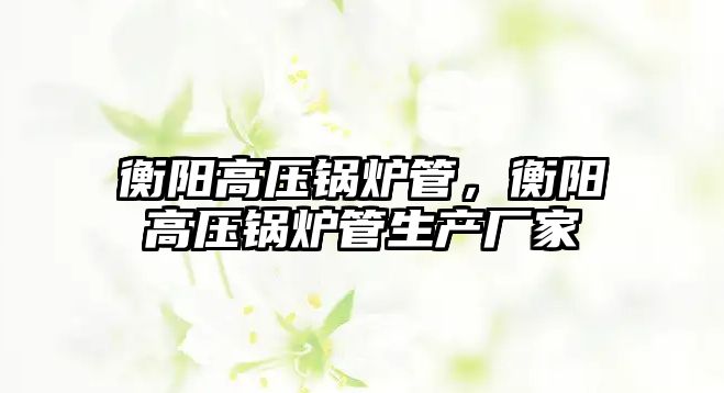 衡陽高壓鍋爐管，衡陽高壓鍋爐管生產(chǎn)廠家