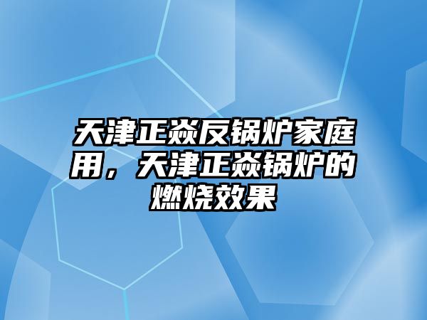 天津正焱反鍋爐家庭用，天津正焱鍋爐的燃燒效果