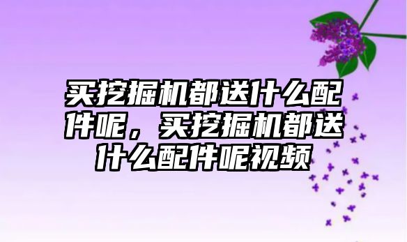 買挖掘機都送什么配件呢，買挖掘機都送什么配件呢視頻