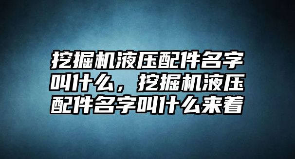 挖掘機(jī)液壓配件名字叫什么，挖掘機(jī)液壓配件名字叫什么來(lái)著