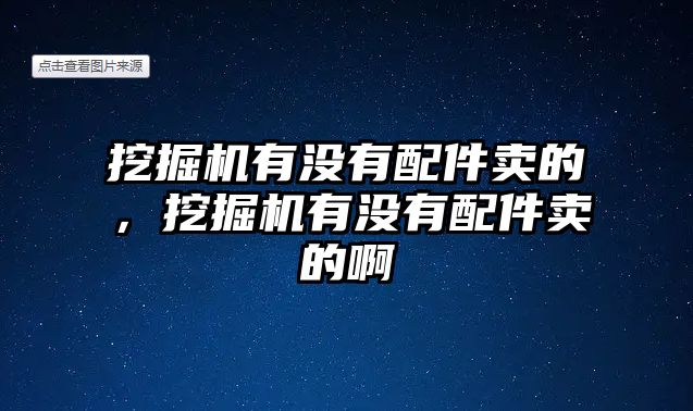 挖掘機有沒有配件賣的，挖掘機有沒有配件賣的啊