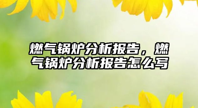 燃?xì)忮仩t分析報(bào)告，燃?xì)忮仩t分析報(bào)告怎么寫