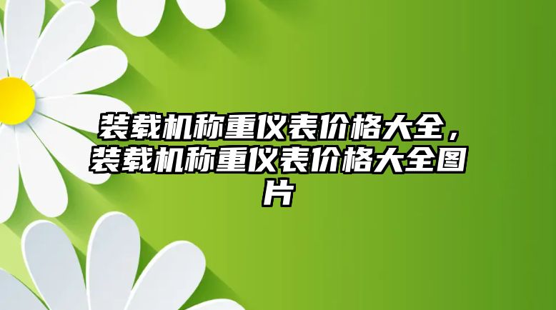 裝載機稱重儀表價格大全，裝載機稱重儀表價格大全圖片