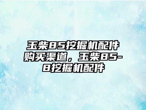 玉柴85挖掘機(jī)配件購買渠道，玉柴85-8挖掘機(jī)配件