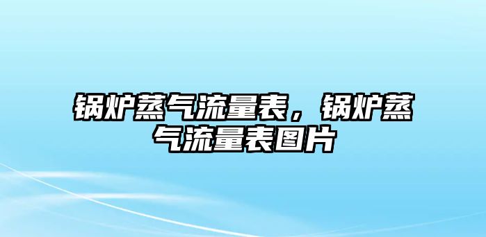 鍋爐蒸氣流量表，鍋爐蒸氣流量表圖片