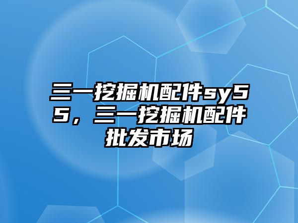 三一挖掘機配件sy55，三一挖掘機配件批發(fā)市場