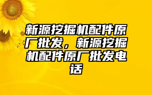 新源挖掘機配件原廠批發(fā)，新源挖掘機配件原廠批發(fā)電話