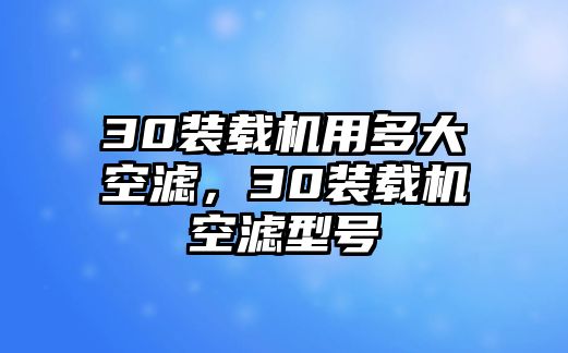 30裝載機(jī)用多大空濾，30裝載機(jī)空濾型號(hào)