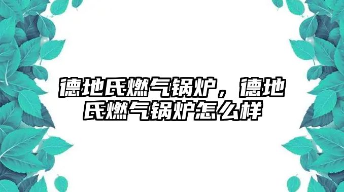 德地氏燃?xì)忮仩t，德地氏燃?xì)忮仩t怎么樣