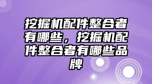 挖掘機配件整合者有哪些，挖掘機配件整合者有哪些品牌