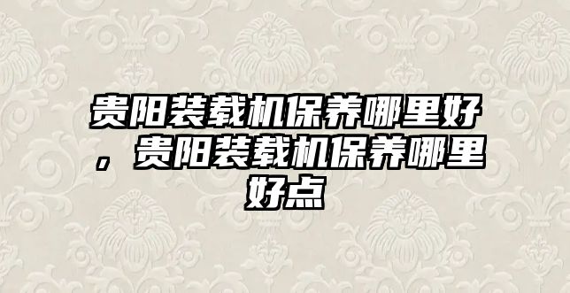 貴陽裝載機保養(yǎng)哪里好，貴陽裝載機保養(yǎng)哪里好點