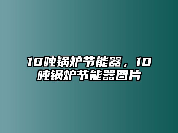 10噸鍋爐節(jié)能器，10噸鍋爐節(jié)能器圖片