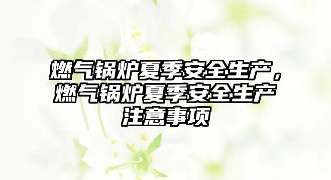 燃?xì)忮仩t夏季安全生產(chǎn)，燃?xì)忮仩t夏季安全生產(chǎn)注意事項