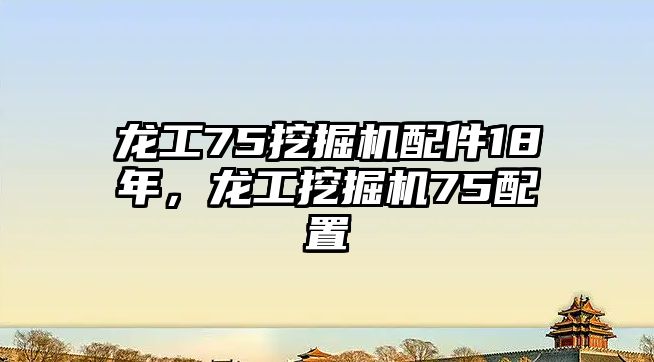 龍工75挖掘機(jī)配件18年，龍工挖掘機(jī)75配置