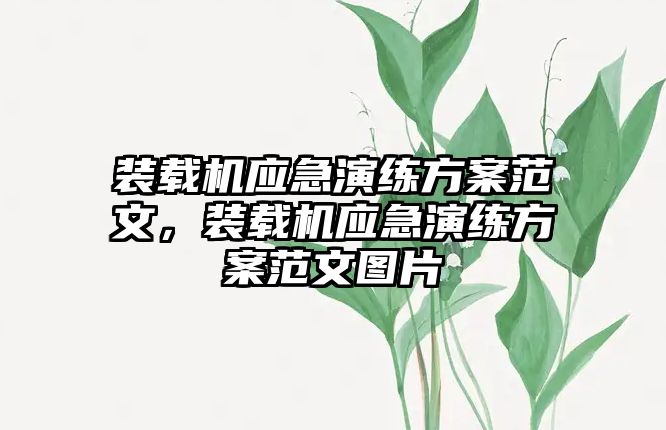 裝載機(jī)應(yīng)急演練方案范文，裝載機(jī)應(yīng)急演練方案范文圖片