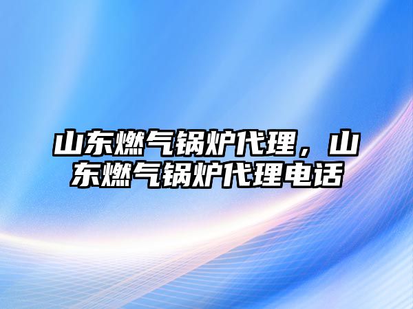 山東燃?xì)忮仩t代理，山東燃?xì)忮仩t代理電話