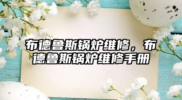 布德魯斯鍋爐維修，布德魯斯鍋爐維修手冊