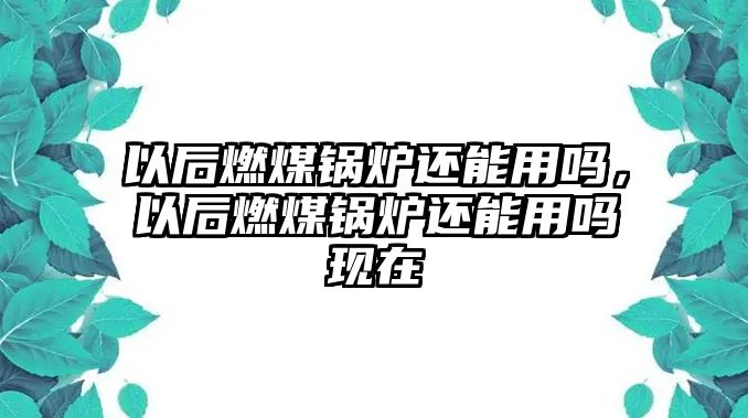 以后燃煤鍋爐還能用嗎，以后燃煤鍋爐還能用嗎現(xiàn)在