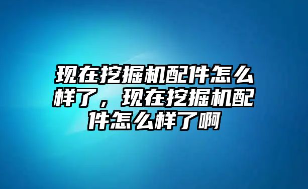 現(xiàn)在挖掘機配件怎么樣了，現(xiàn)在挖掘機配件怎么樣了啊