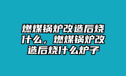 燃煤鍋爐改造后燒什么，燃煤鍋爐改造后燒什么爐子