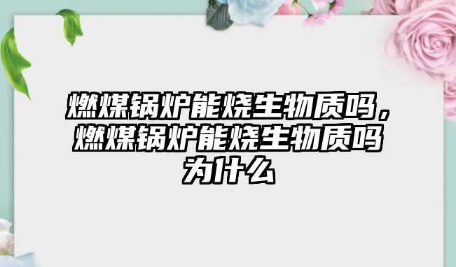 燃煤鍋爐能燒生物質嗎，燃煤鍋爐能燒生物質嗎為什么