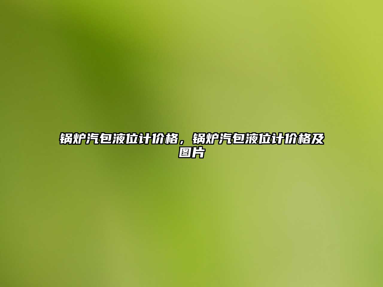 鍋爐汽包液位計價格，鍋爐汽包液位計價格及圖片