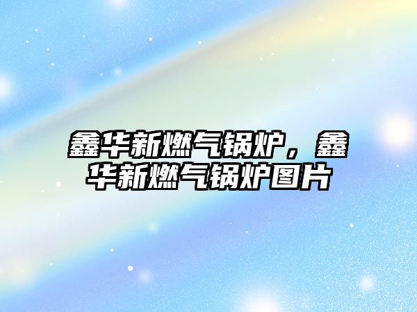 鑫華新燃?xì)忮仩t，鑫華新燃?xì)忮仩t圖片