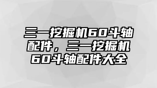 三一挖掘機60斗軸配件，三一挖掘機60斗軸配件大全