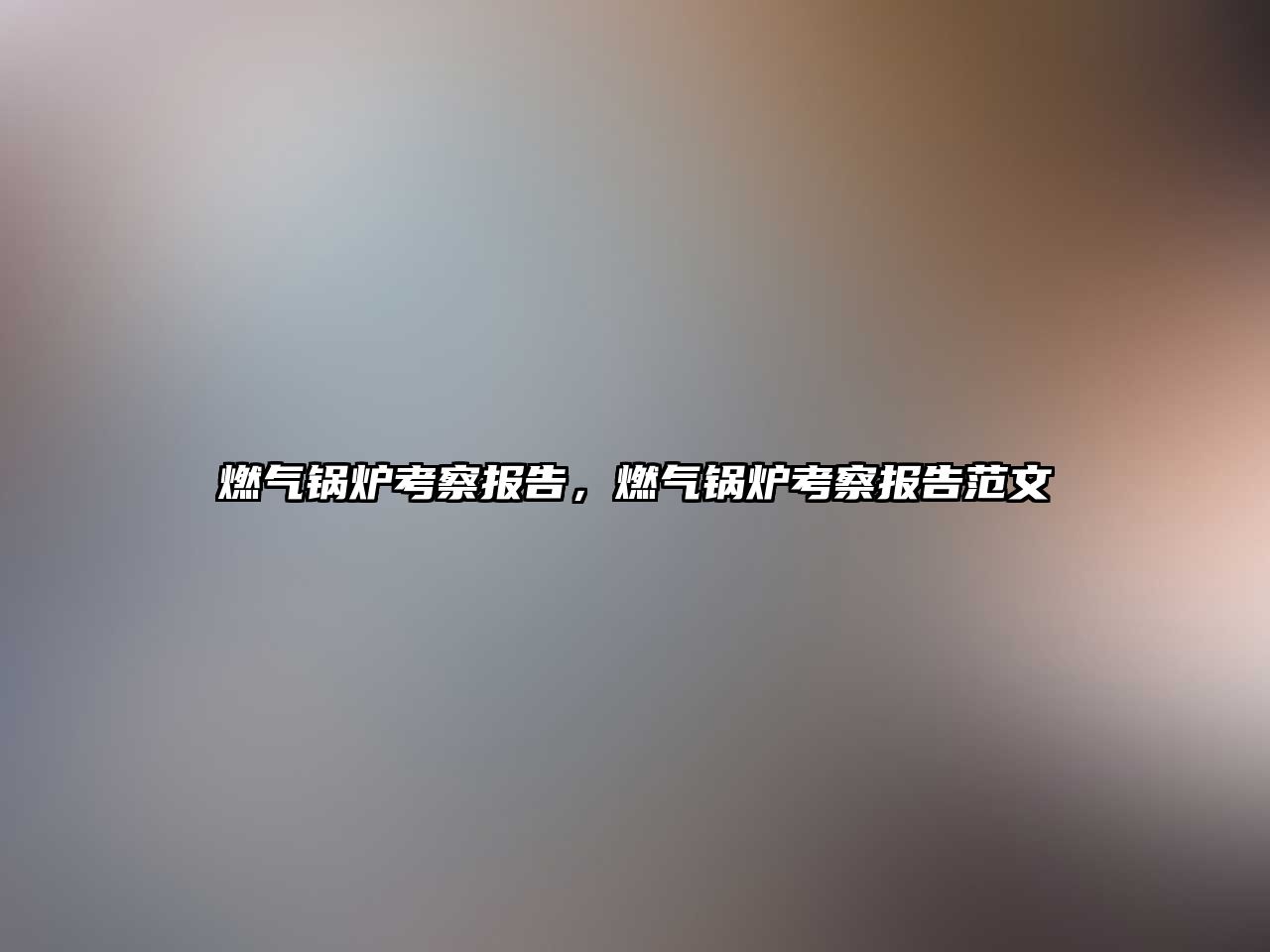 燃?xì)忮仩t考察報(bào)告，燃?xì)忮仩t考察報(bào)告范文