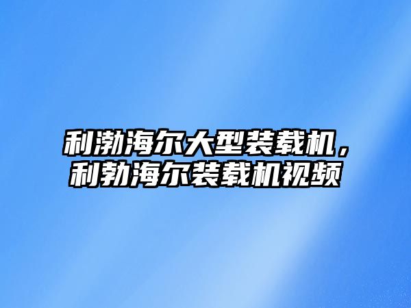 利渤海爾大型裝載機，利勃海爾裝載機視頻