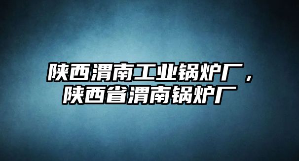 陜西渭南工業(yè)鍋爐廠，陜西省渭南鍋爐廠