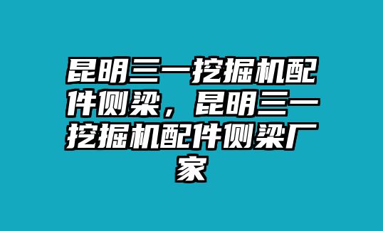 昆明三一挖掘機(jī)配件側(cè)梁，昆明三一挖掘機(jī)配件側(cè)梁廠(chǎng)家