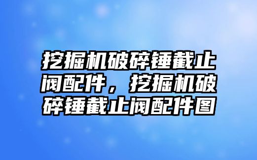 挖掘機(jī)破碎錘截止閥配件，挖掘機(jī)破碎錘截止閥配件圖