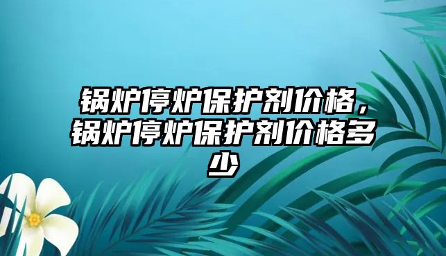 鍋爐停爐保護劑價格，鍋爐停爐保護劑價格多少