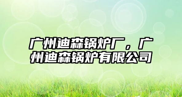 廣州迪森鍋爐廠，廣州迪森鍋爐有限公司