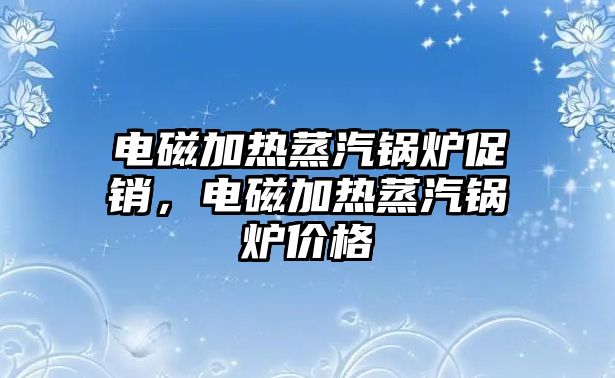 電磁加熱蒸汽鍋爐促銷，電磁加熱蒸汽鍋爐價格